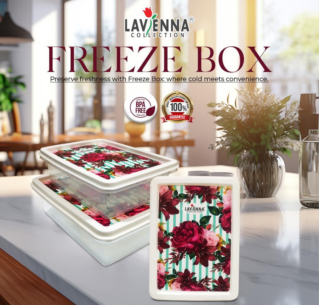 Freeze Box Container 3