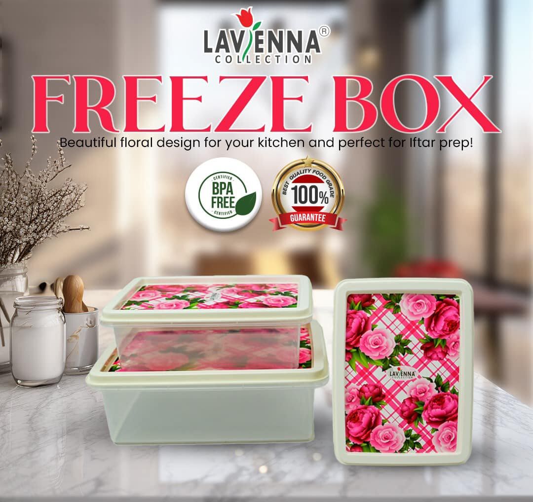 Freeze Box Container